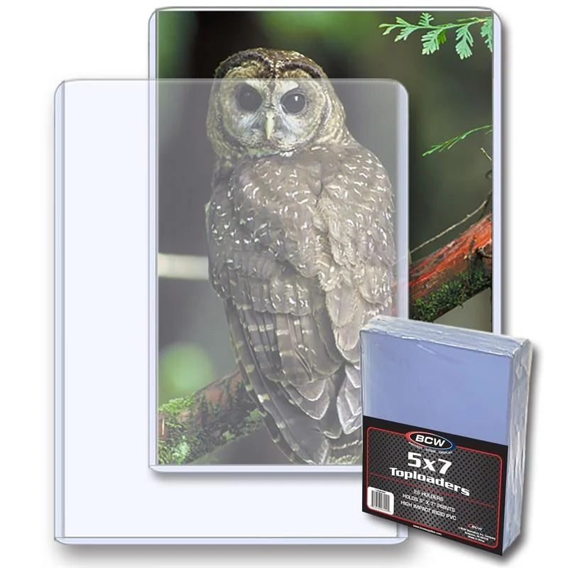 BCW: 5x7 - Topload Holder