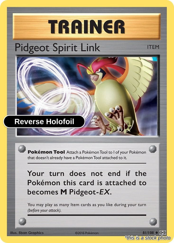 Pidgeot Spirit Link