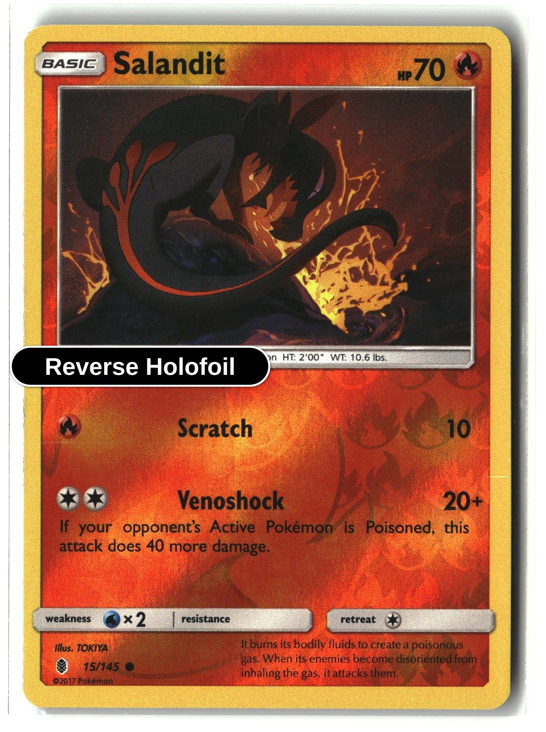 Salandit