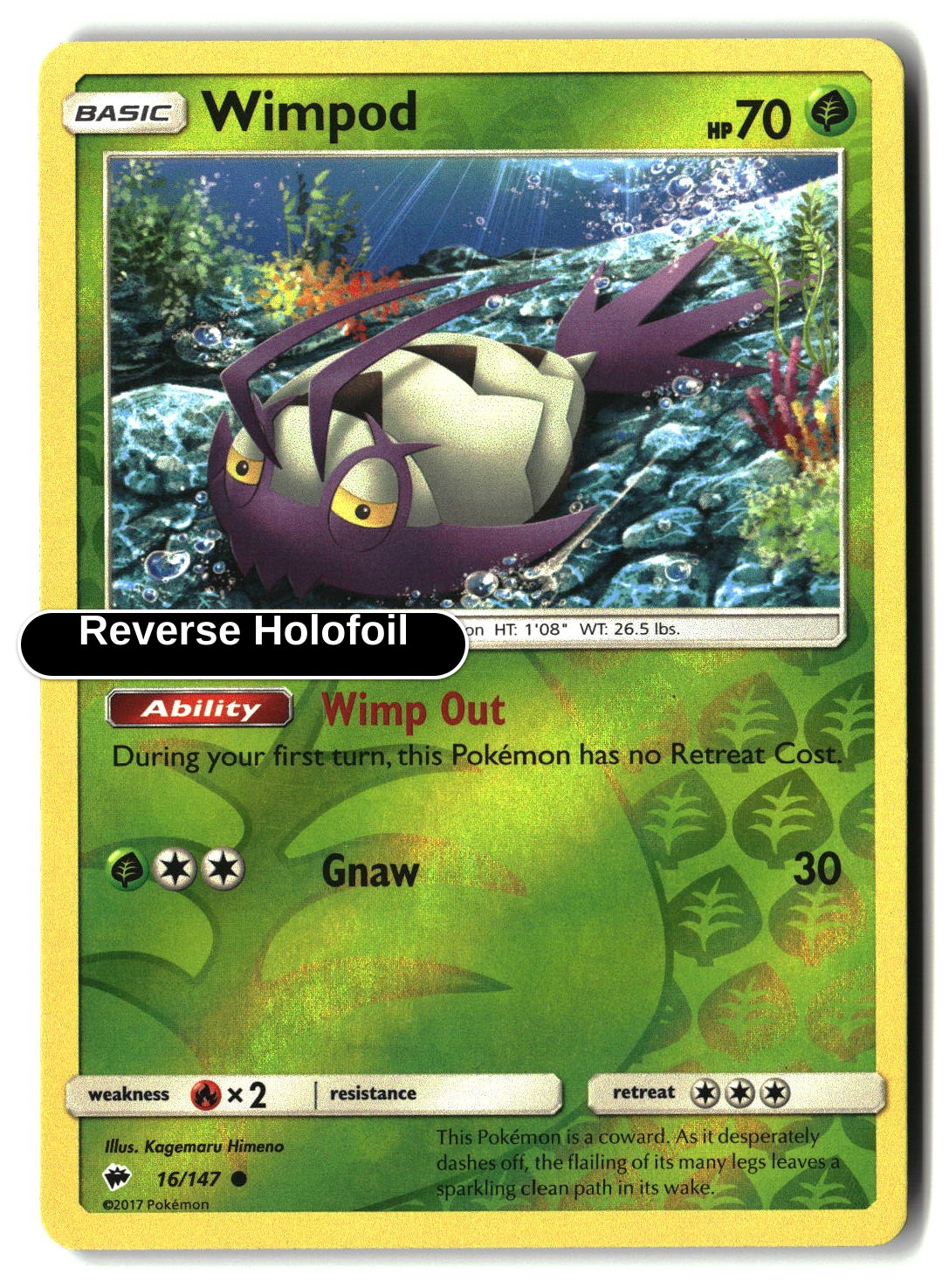 Wimpod