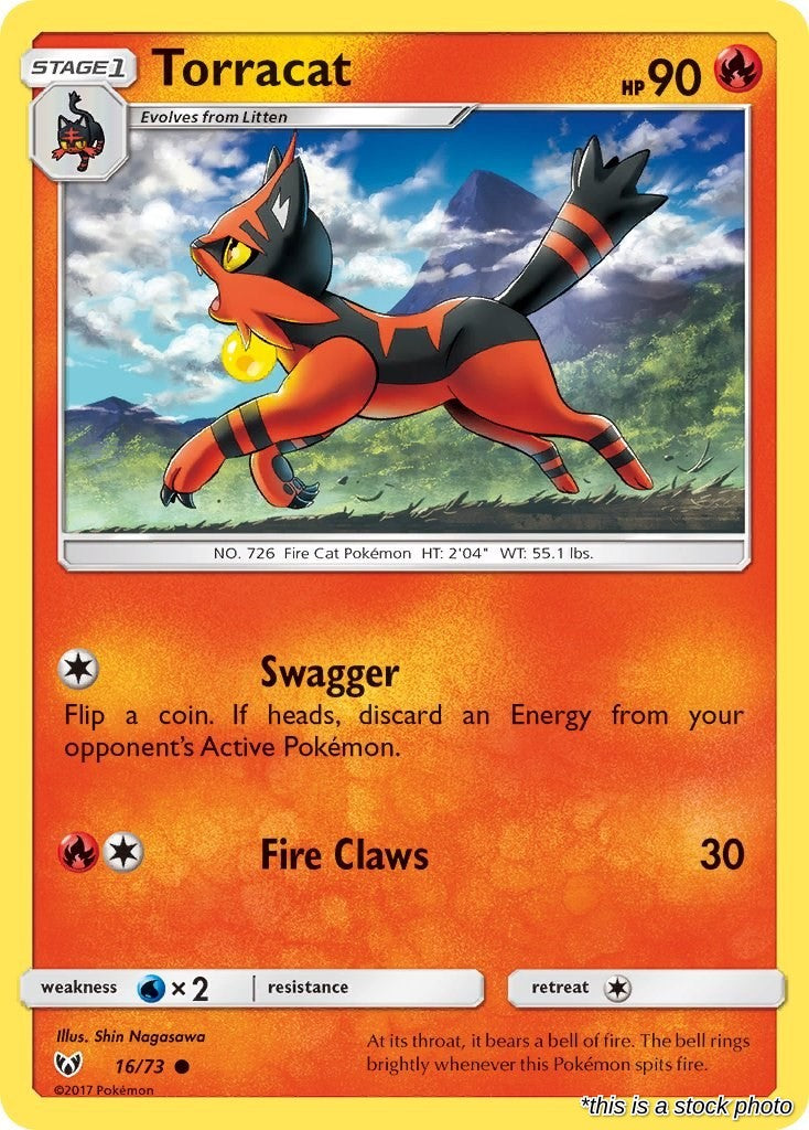 Torracat