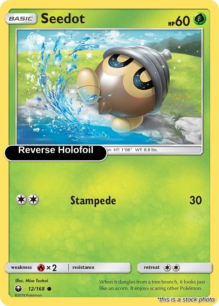 Seedot (12)