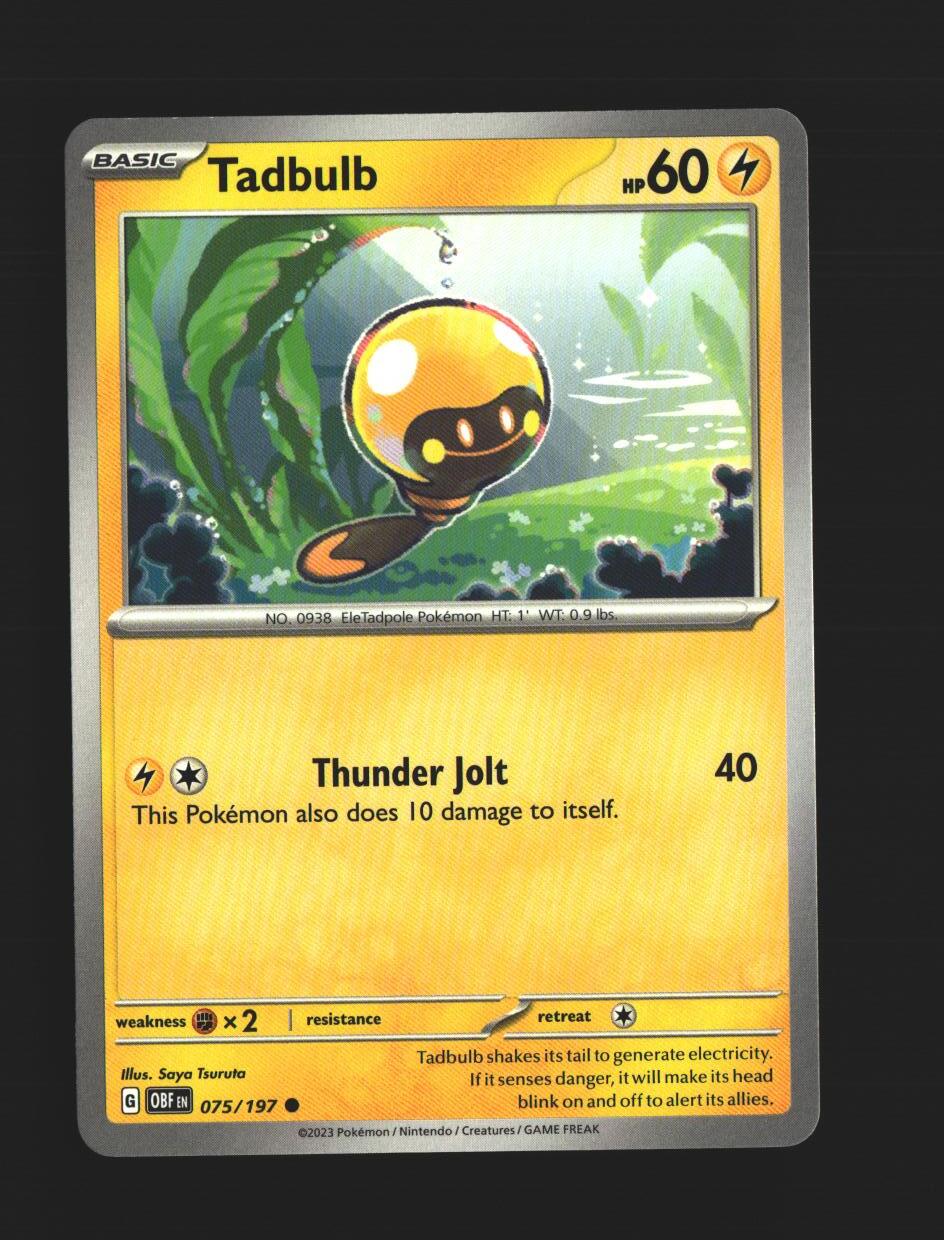 Tadbulb 075/197