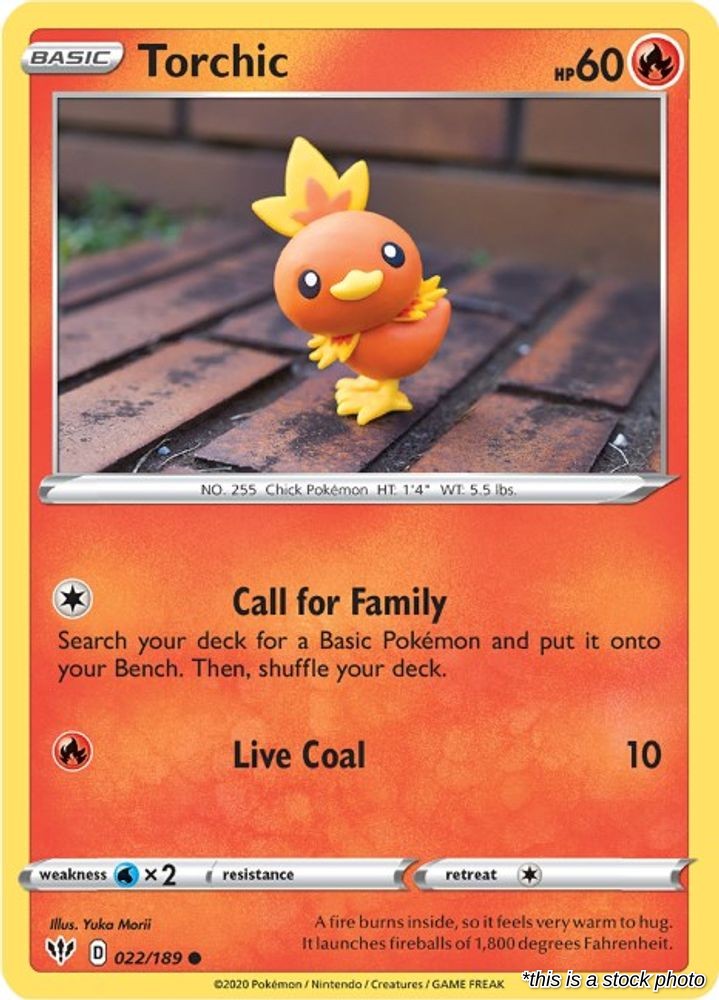 Torchic