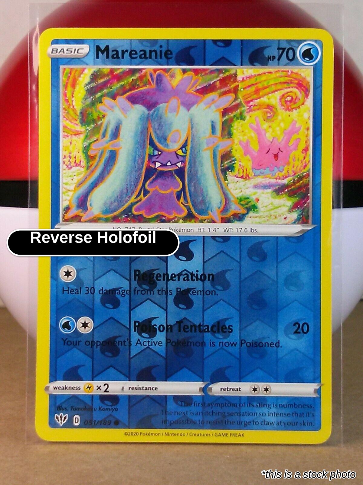 Mareanie