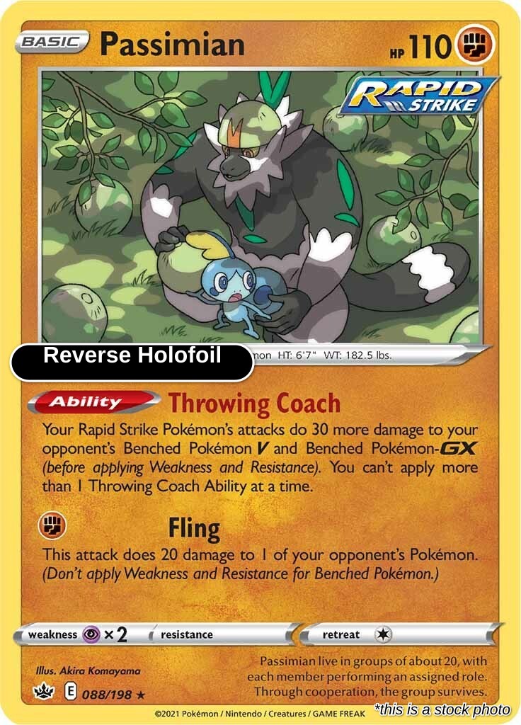 Passimian