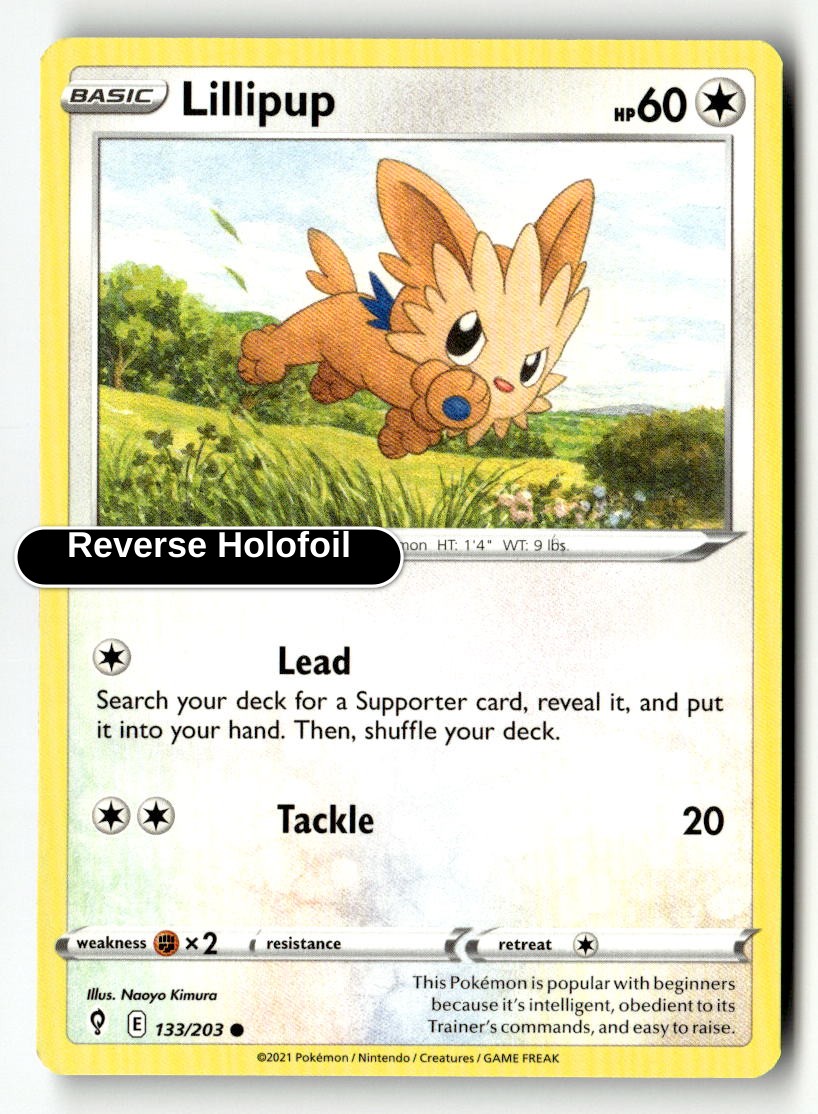 Lillipup