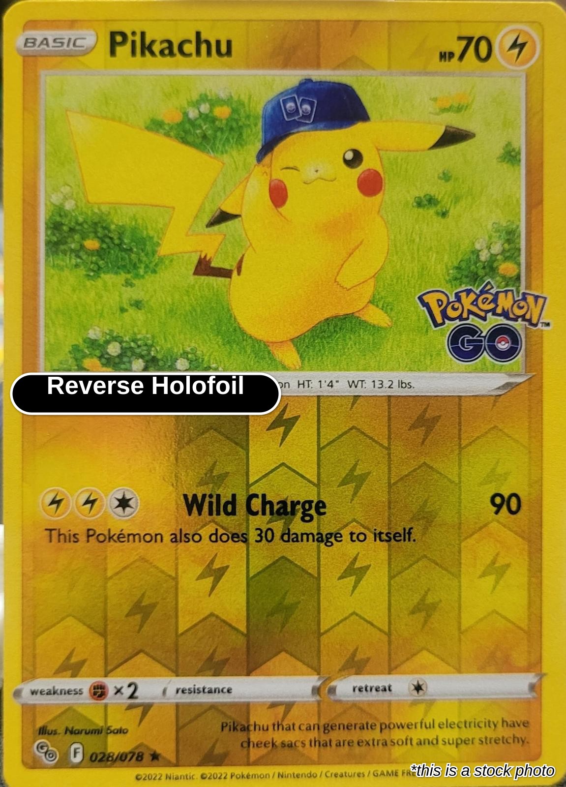 Pikachu (28)