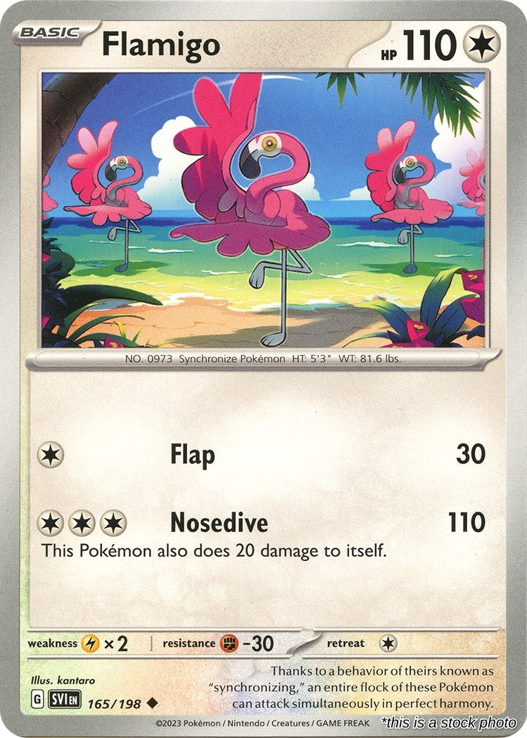Flamigo