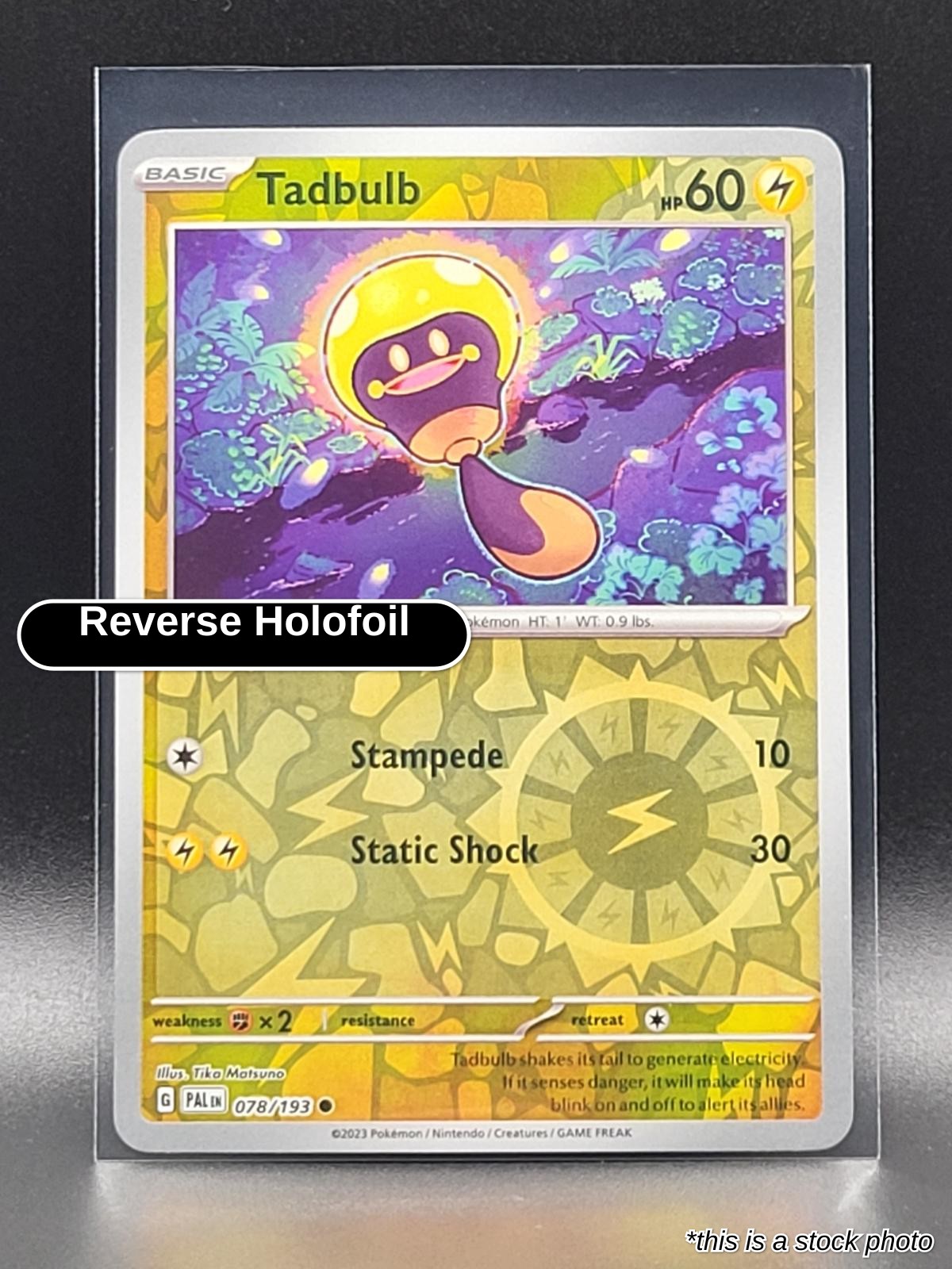 Tadbulb - 078/193