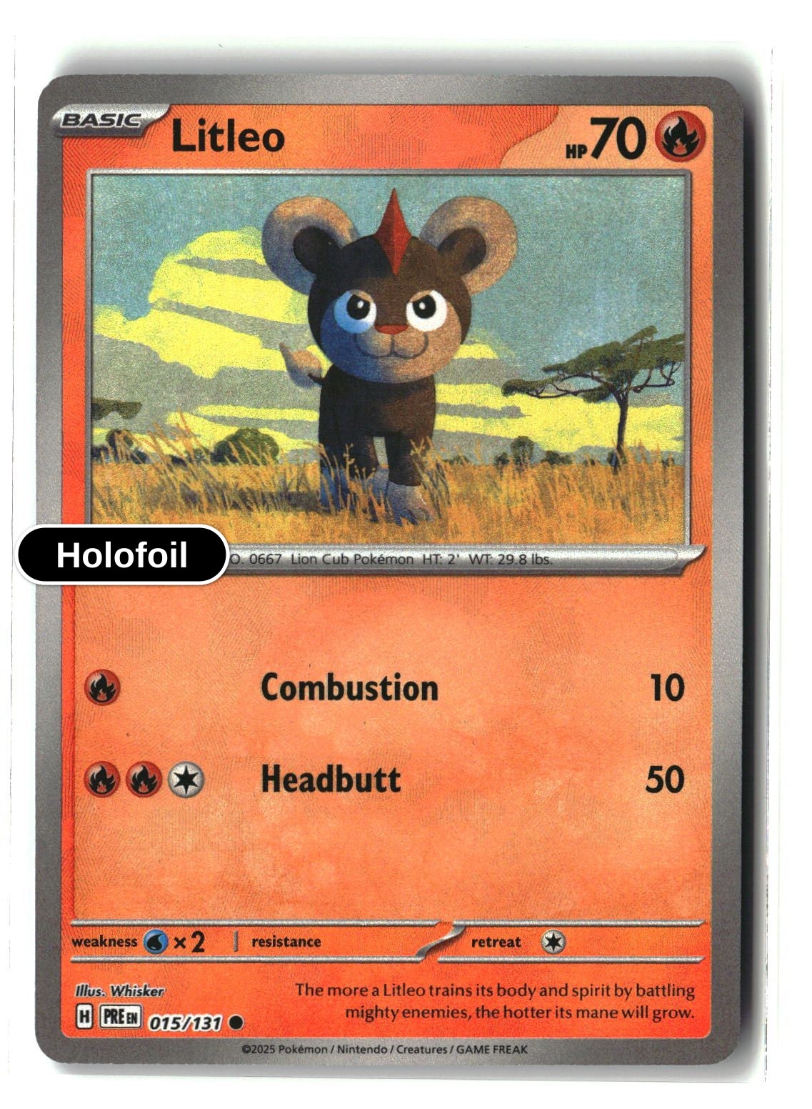 Litleo (Poke Ball Pattern)