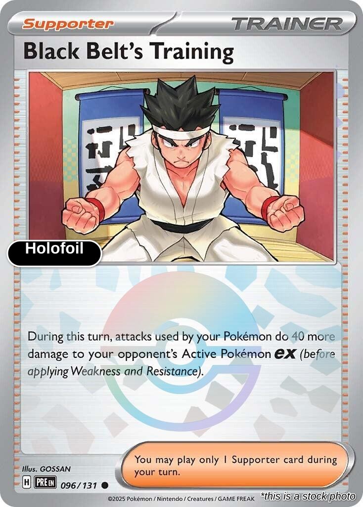 Black Belt's Training - 096/131 (Poke Ball Pattern)