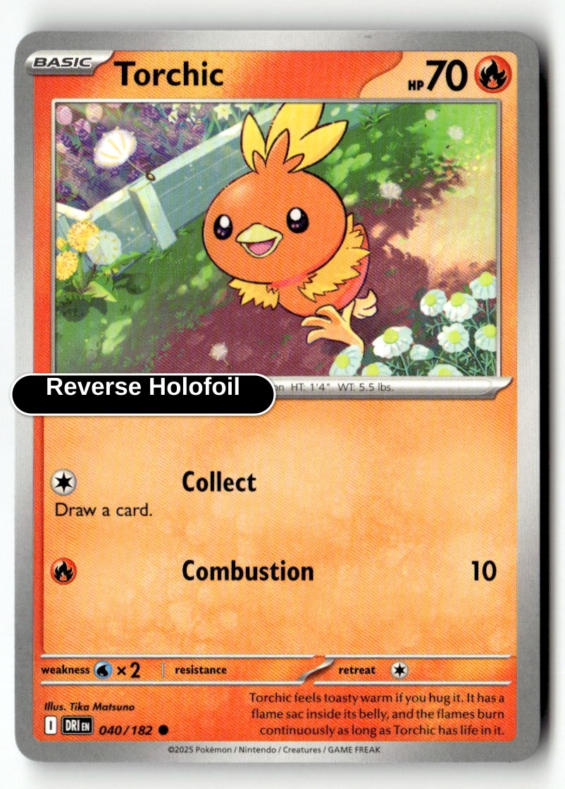 Torchic