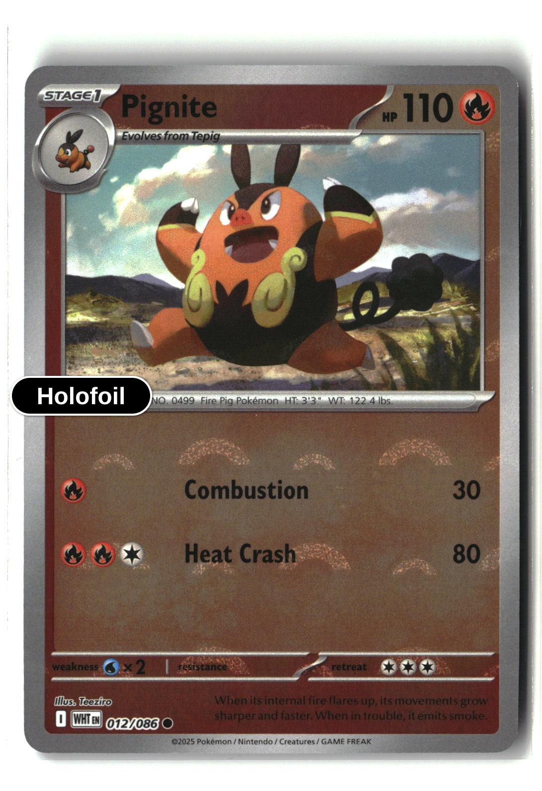 Pignite (Poke Ball Pattern)