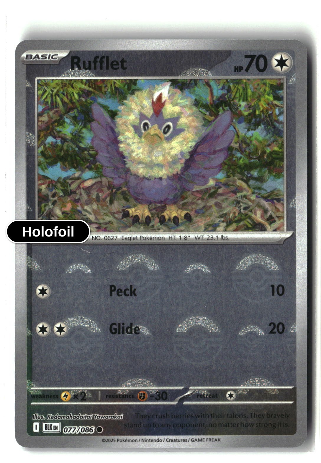 Rufflet (Poke Ball Pattern)