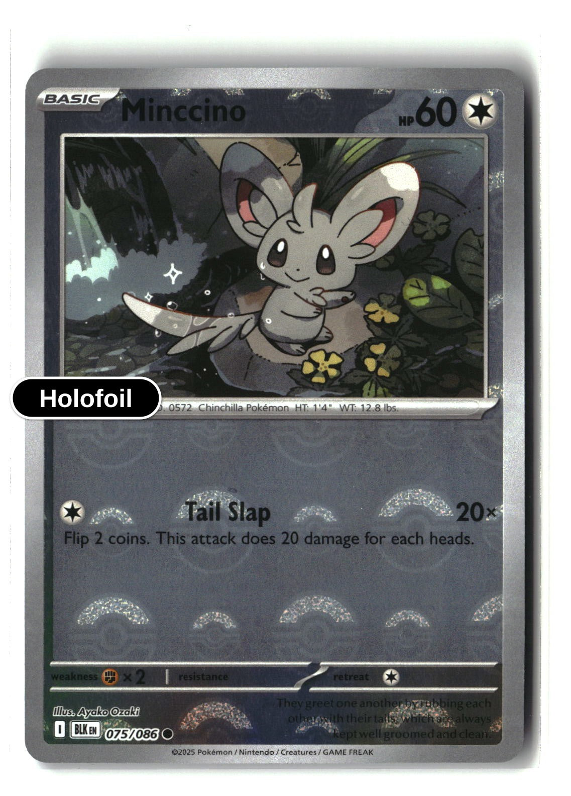 Minccino (Poke Ball Pattern)