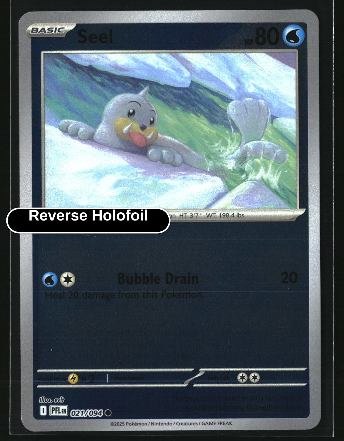 Seel
