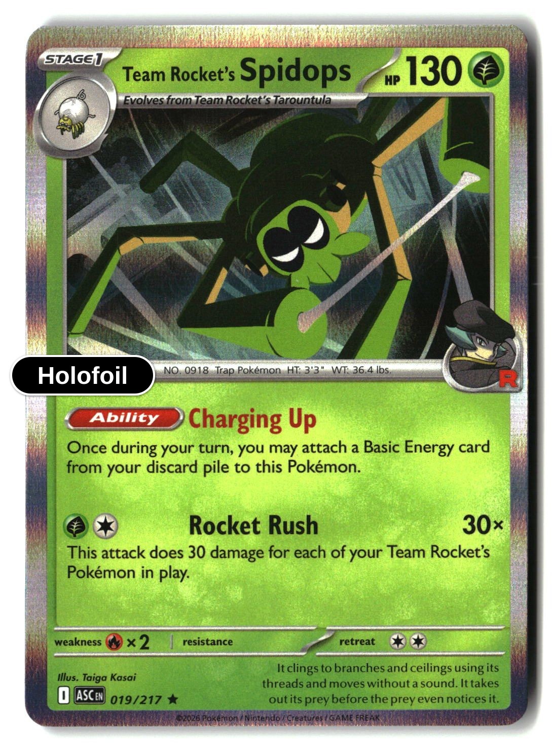 Team Rocket's Spidops