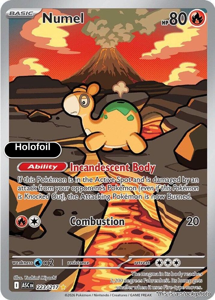 Numel - 223/217