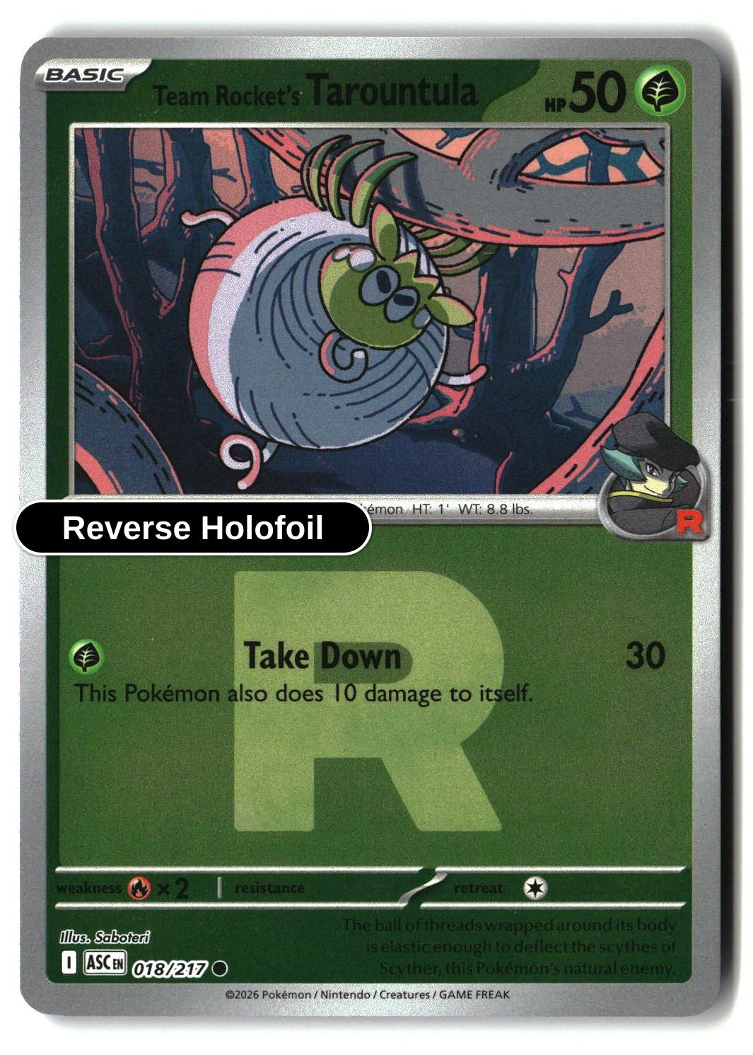 Team Rocket's Tarountula (Team Rocket)