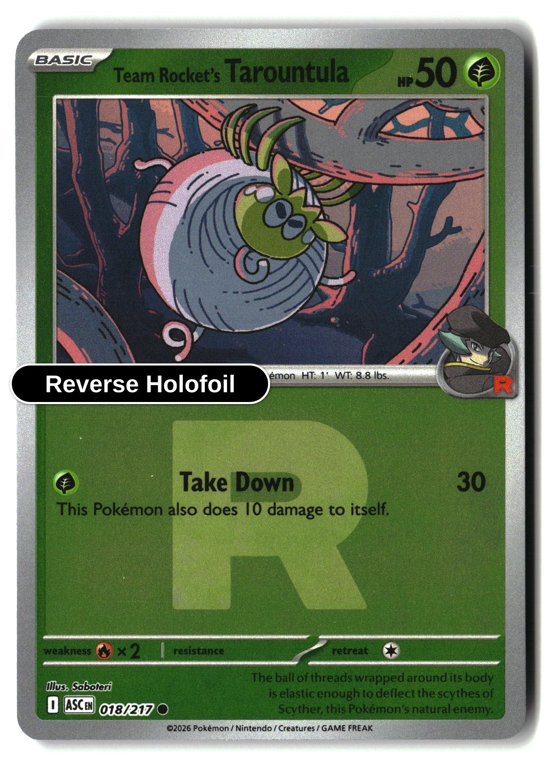 Team Rocket's Tarountula (Team Rocket)