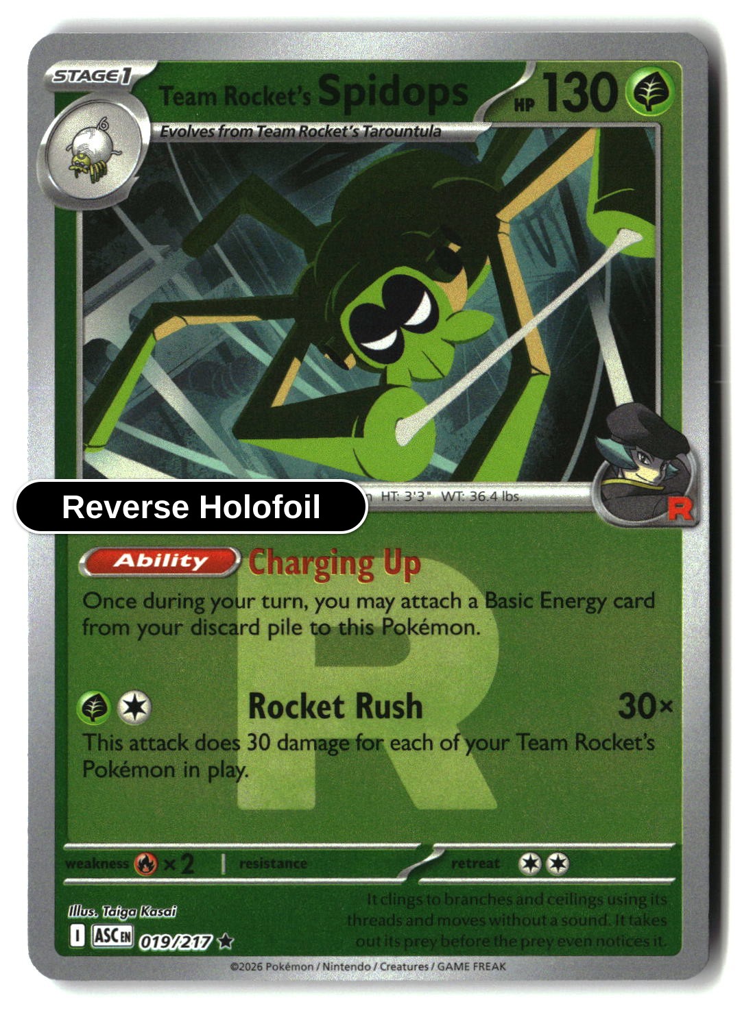 Team Rocket's Spidops (Team Rocket)