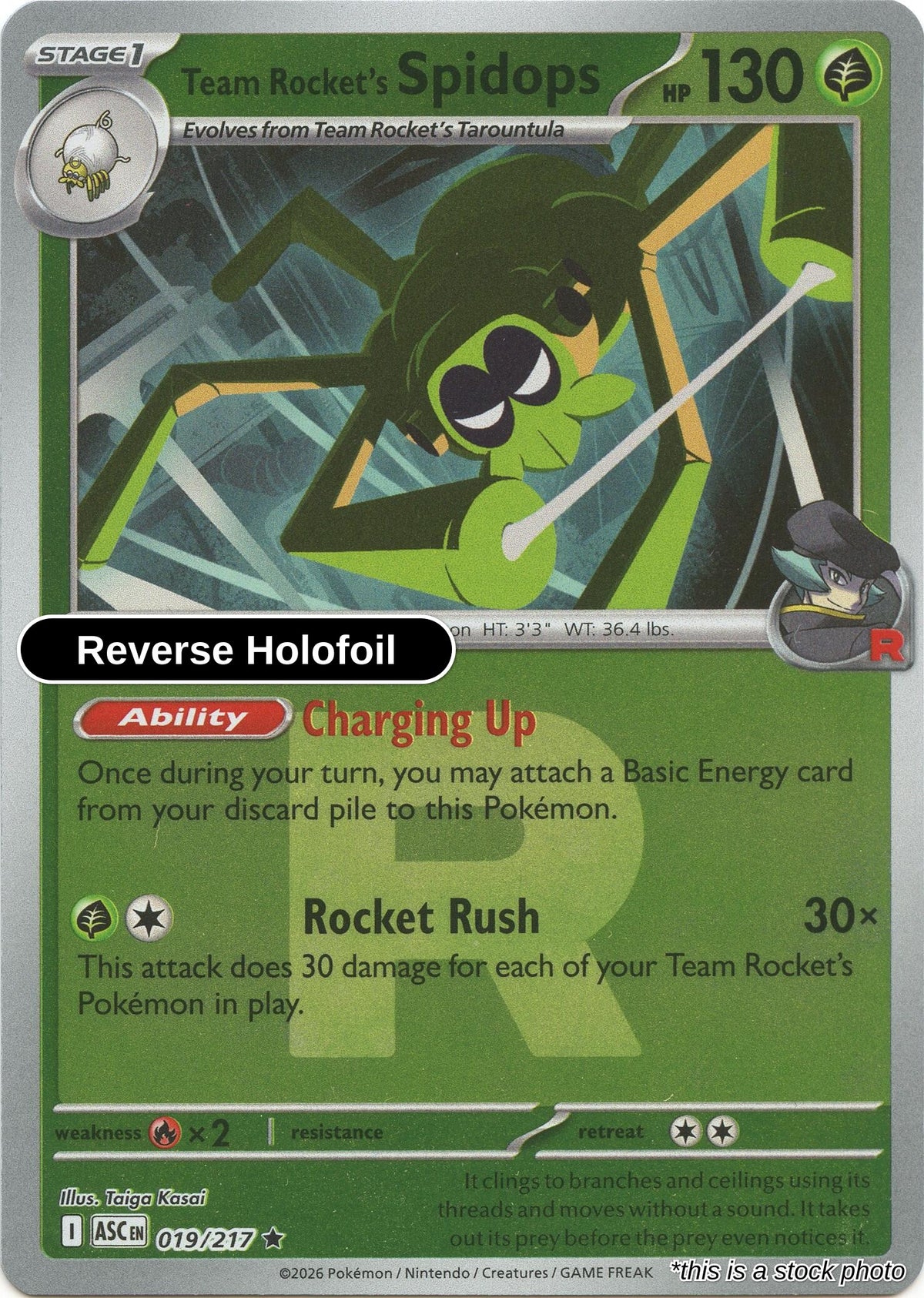 Team Rocket's Spidops (Team Rocket)
