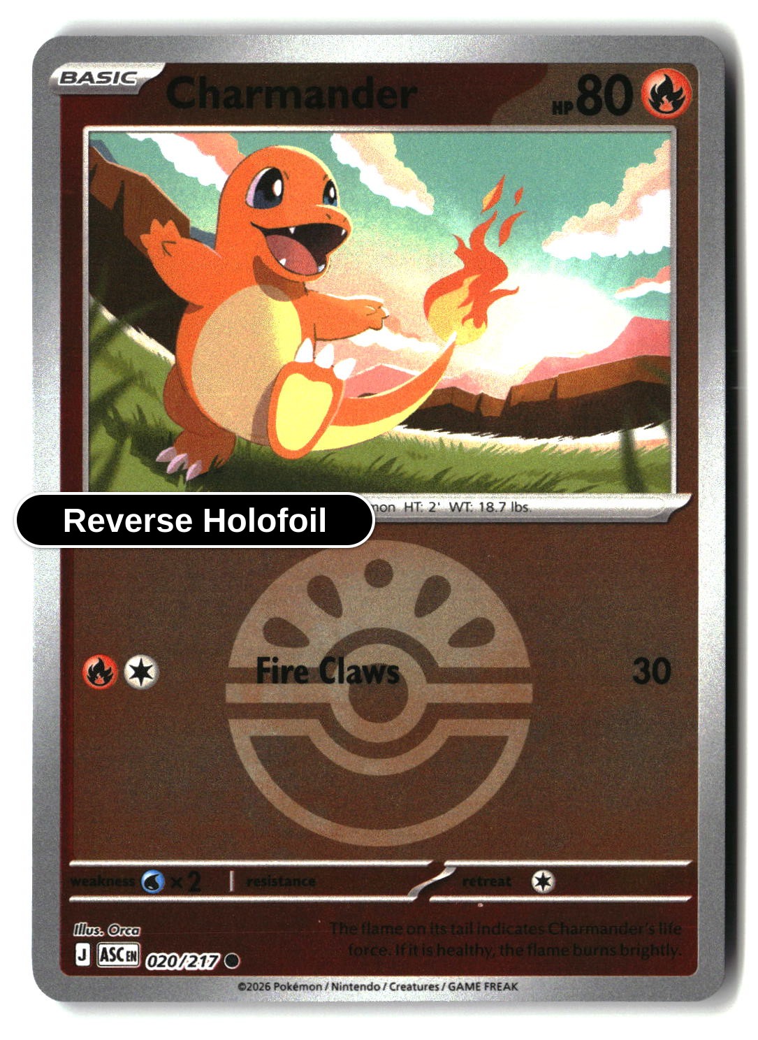 Charmander (Friend Ball)