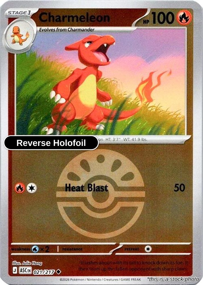 Charmeleon (Friend Ball)
