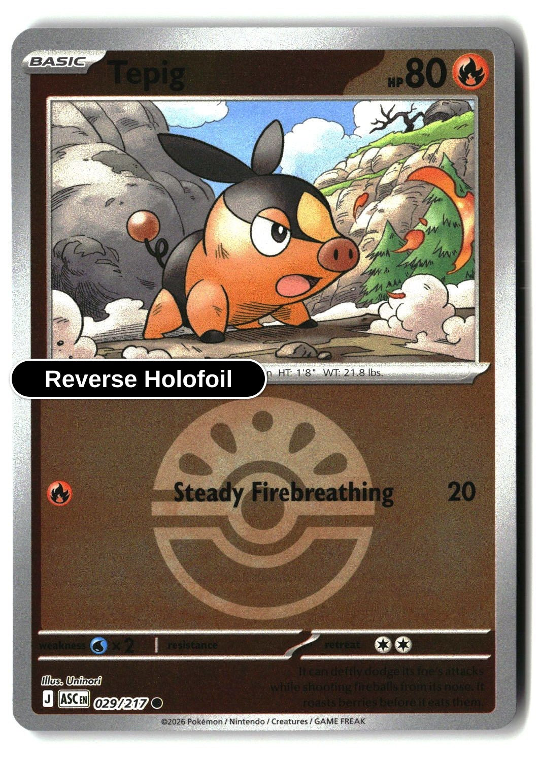 Tepig (Friend Ball)