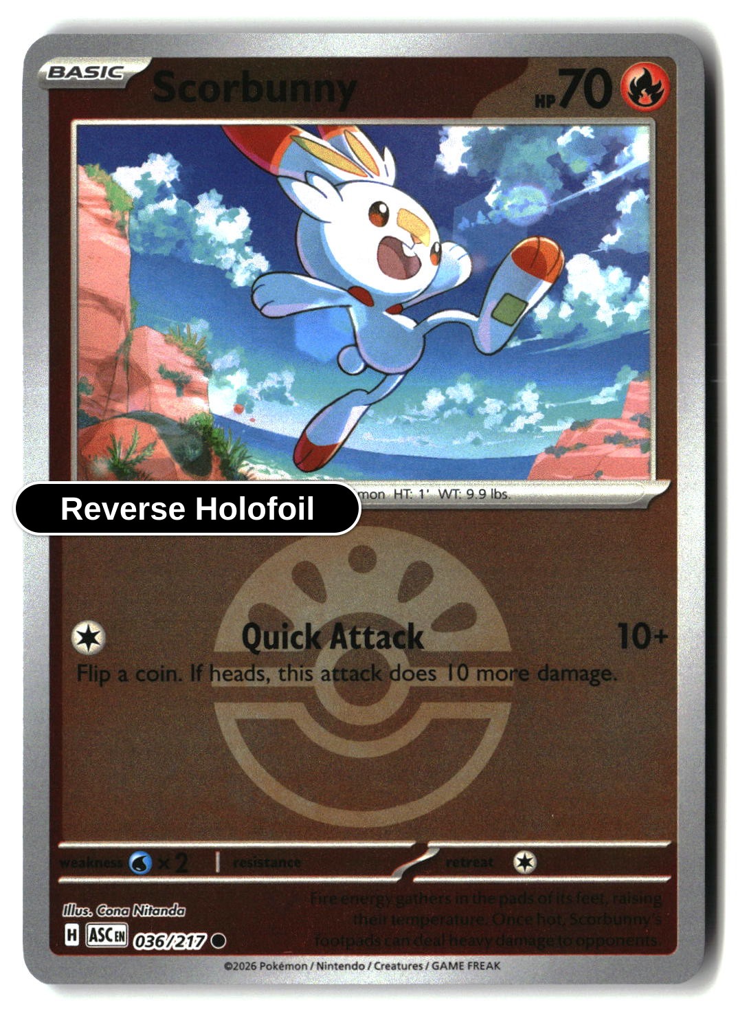 Scorbunny - 036/217 (Friend Ball)