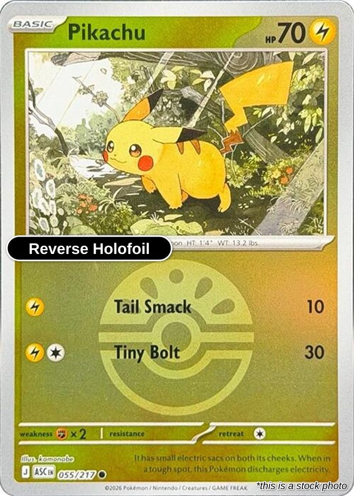 Pikachu (Friend Ball)