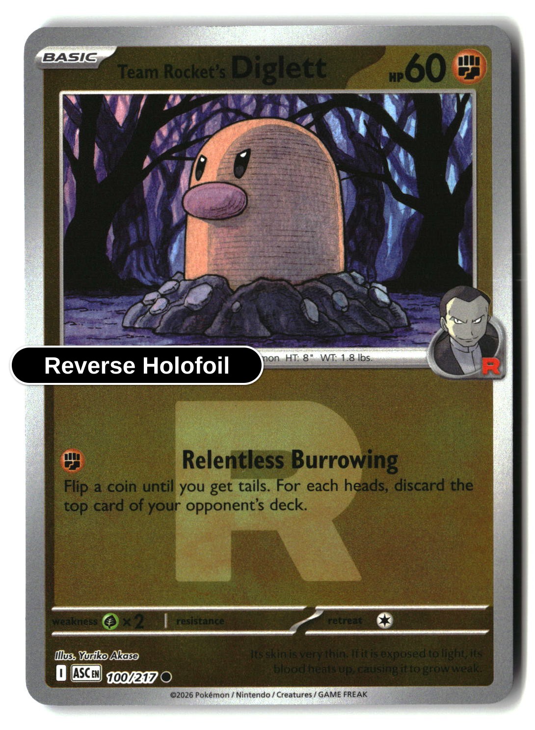 Team Rocket's Diglett (Team Rocket)