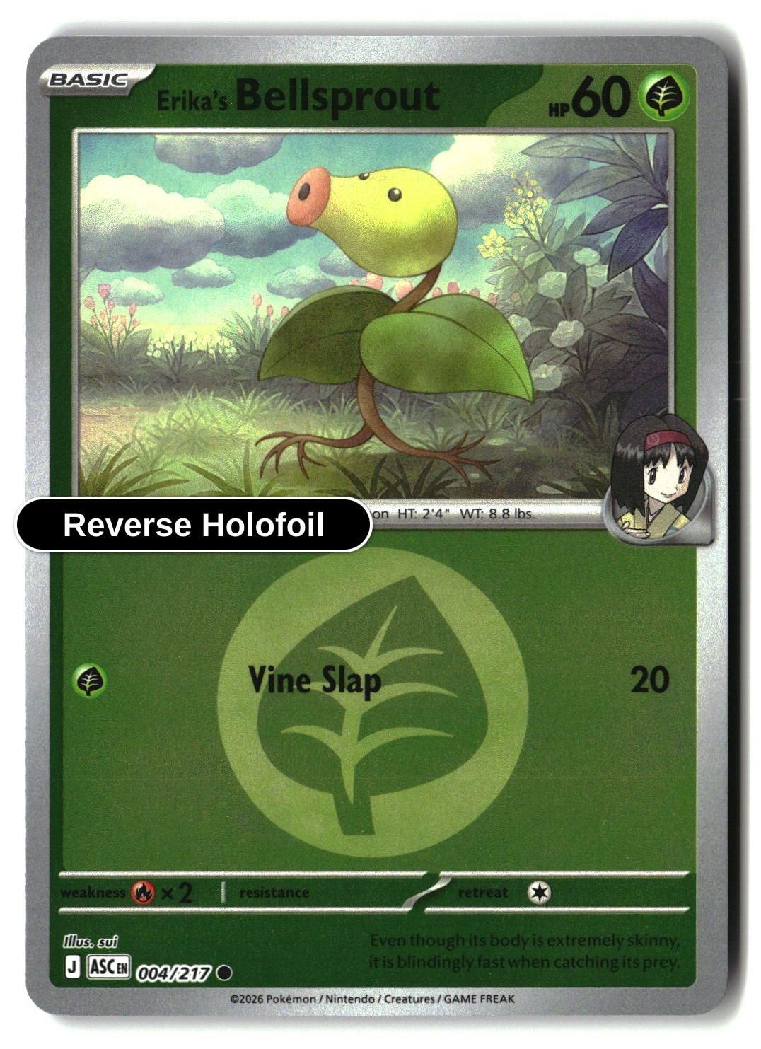 Erika's Bellsprout (Energy Symbol Pattern)