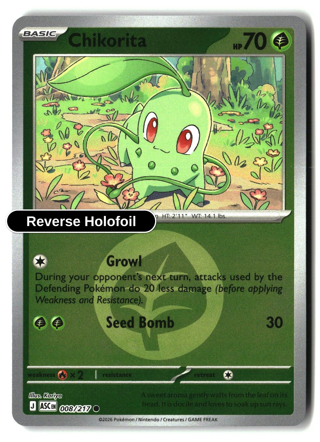Chikorita (Energy Symbol Pattern)
