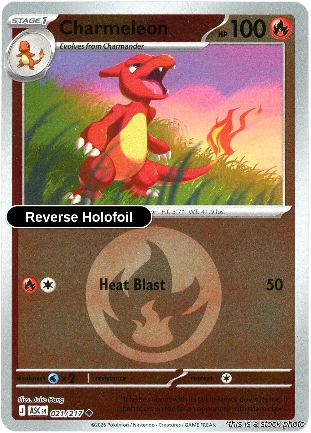 Charmeleon (Energy Symbol Pattern)