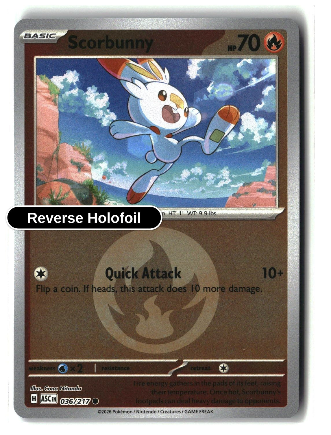 Scorbunny - 036/217 (Energy Symbol Pattern)