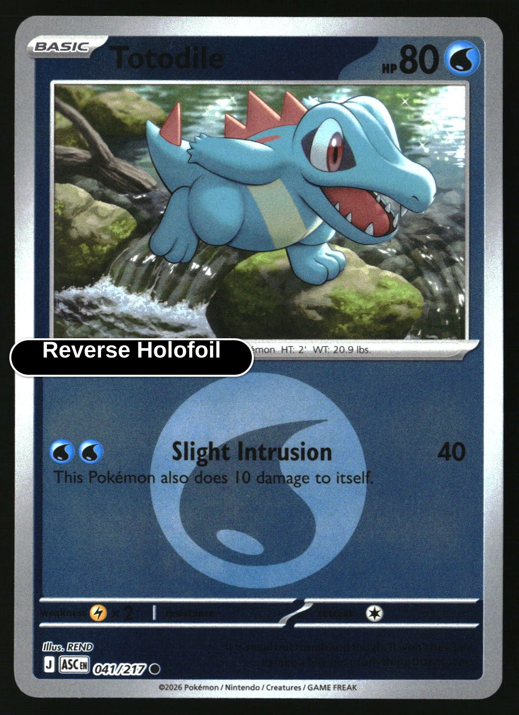 Totodile (Energy Symbol Pattern)
