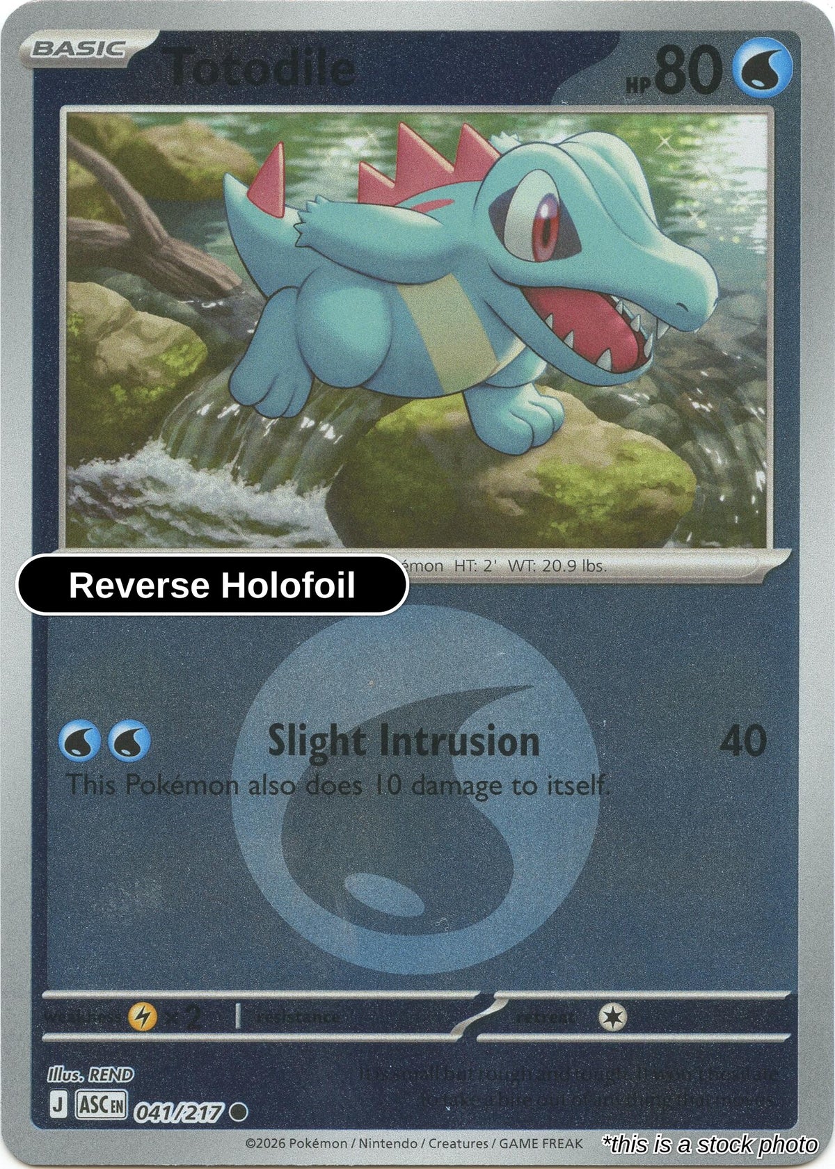 Totodile (Energy Symbol Pattern)