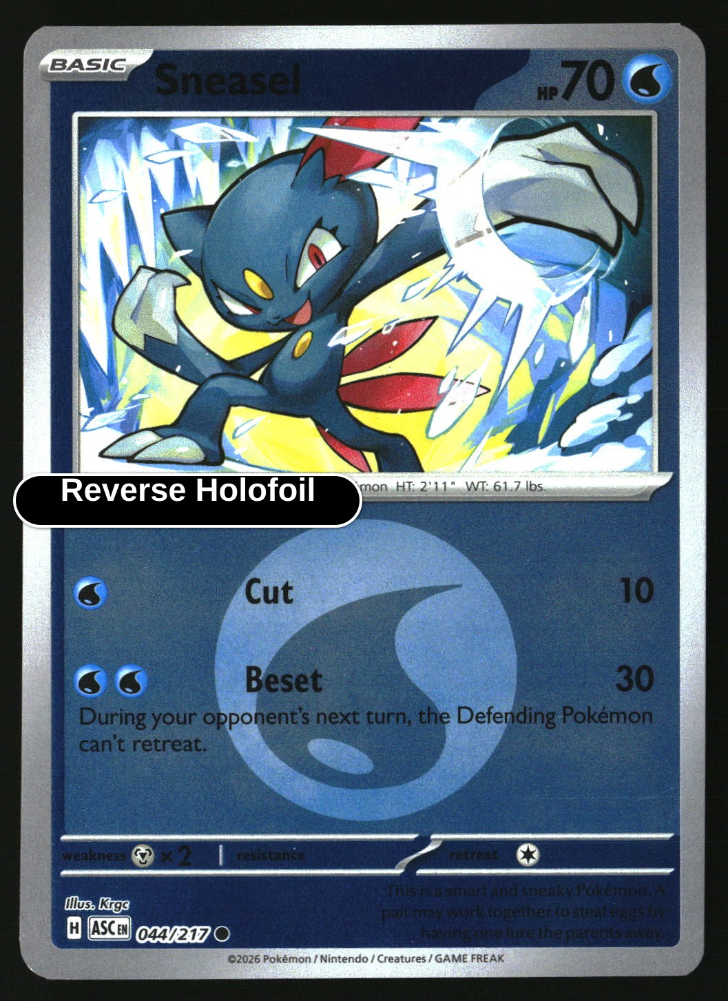 Sneasel (Energy Symbol Pattern)