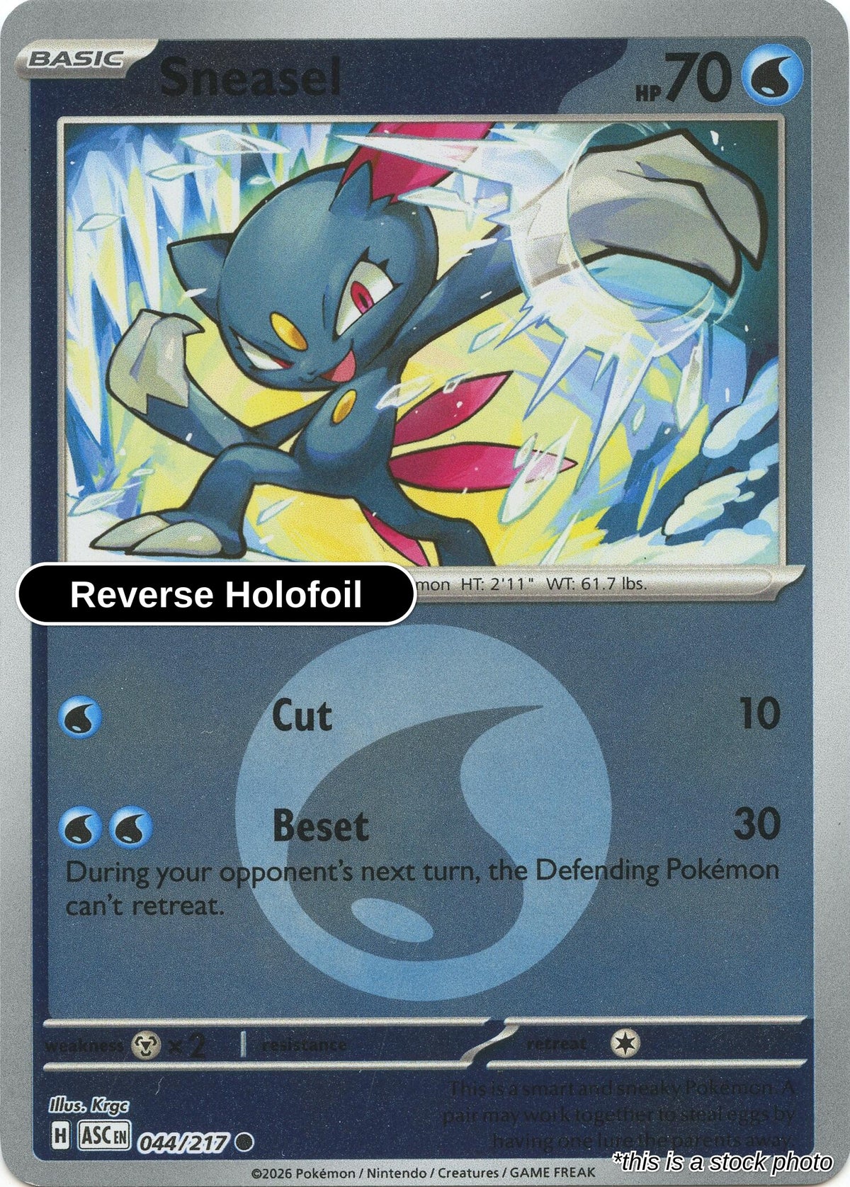Sneasel (Energy Symbol Pattern)