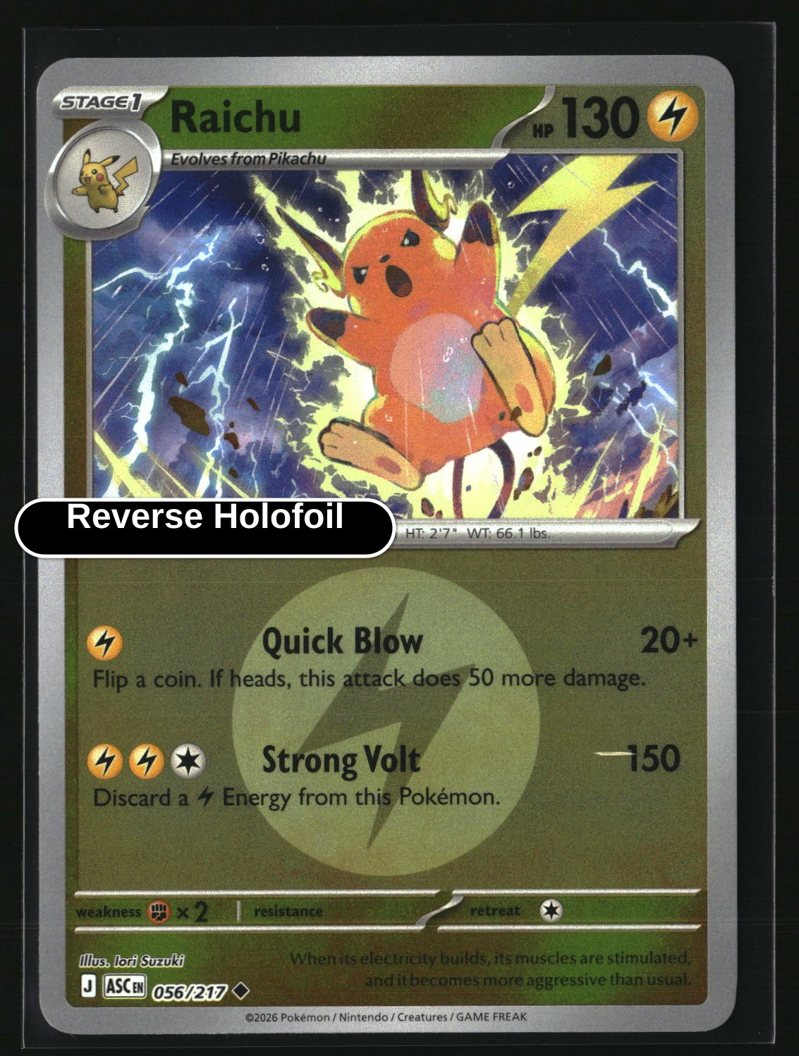 Raichu (Energy Symbol Pattern)