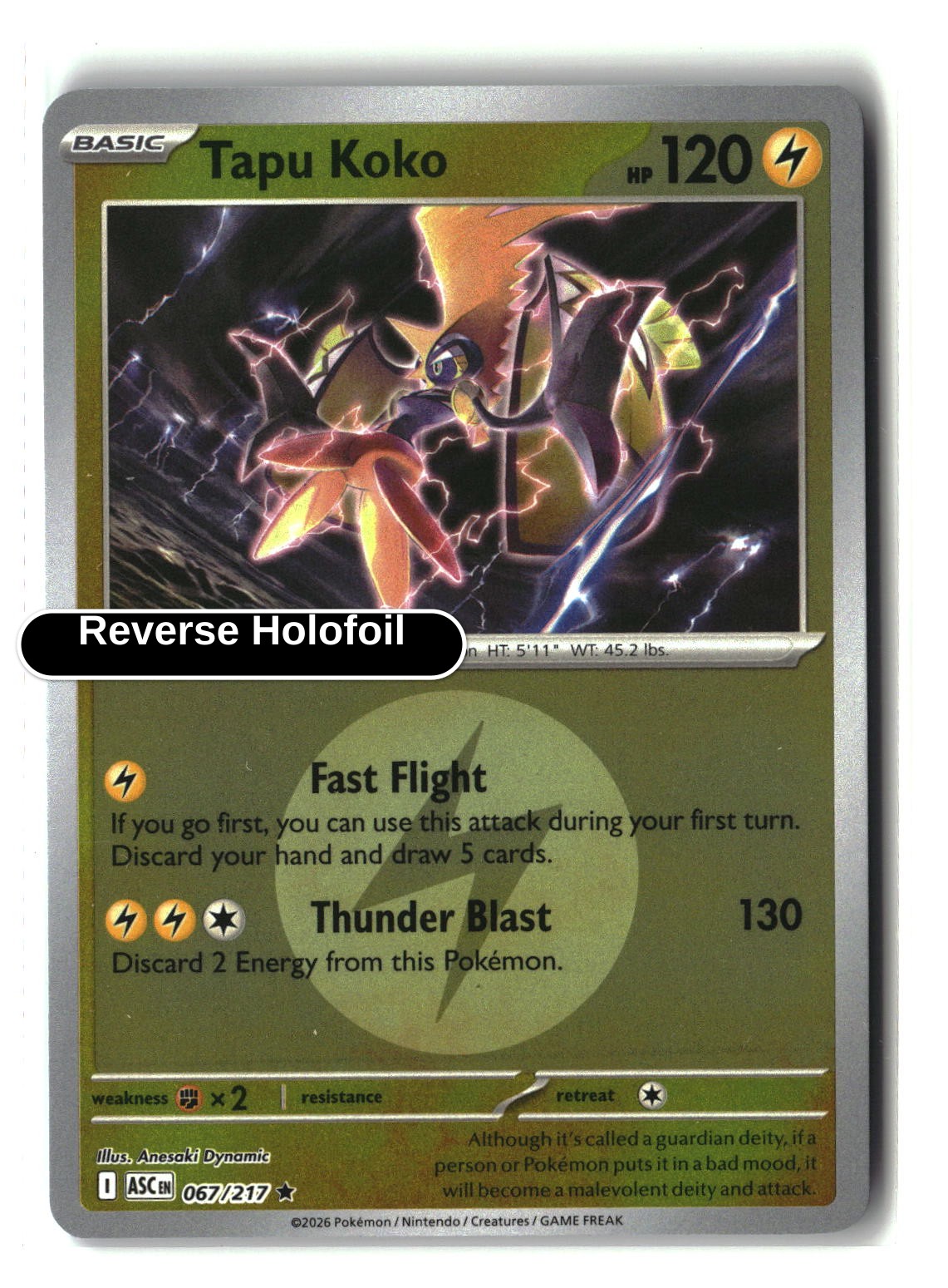 Tapu Koko (Energy Symbol Pattern)