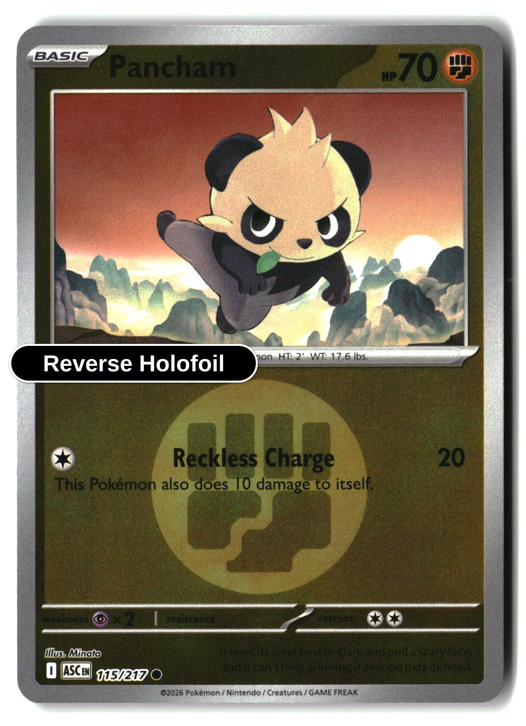 Pancham (Energy Symbol Pattern)