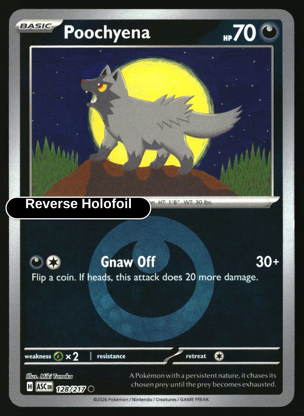 Poochyena (Energy Symbol Pattern)