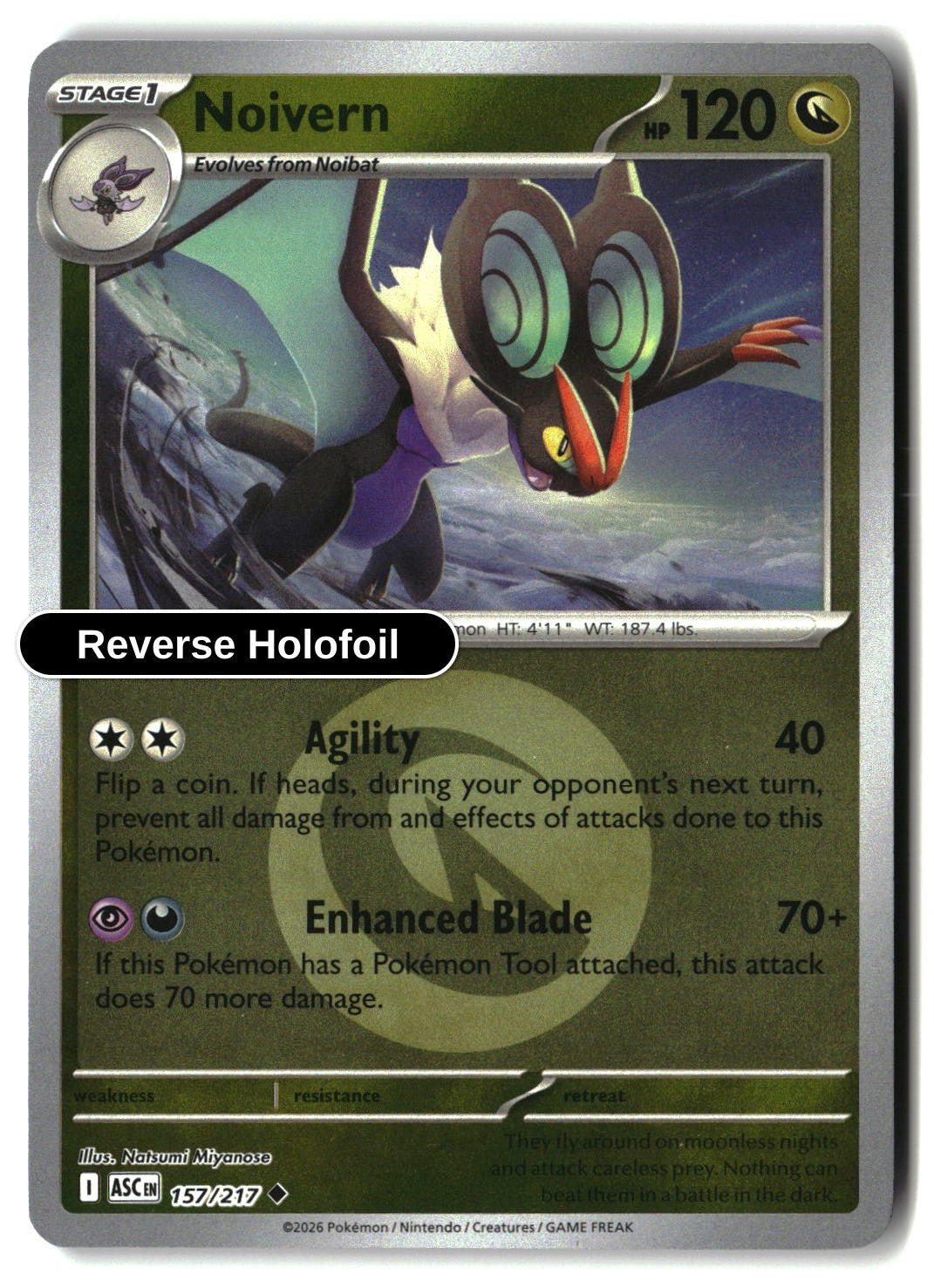Noivern (Energy Symbol Pattern)