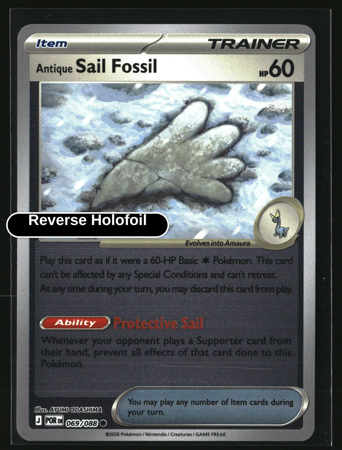 Antique Sail Fossil