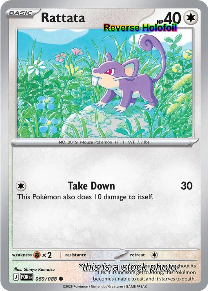 Rattata