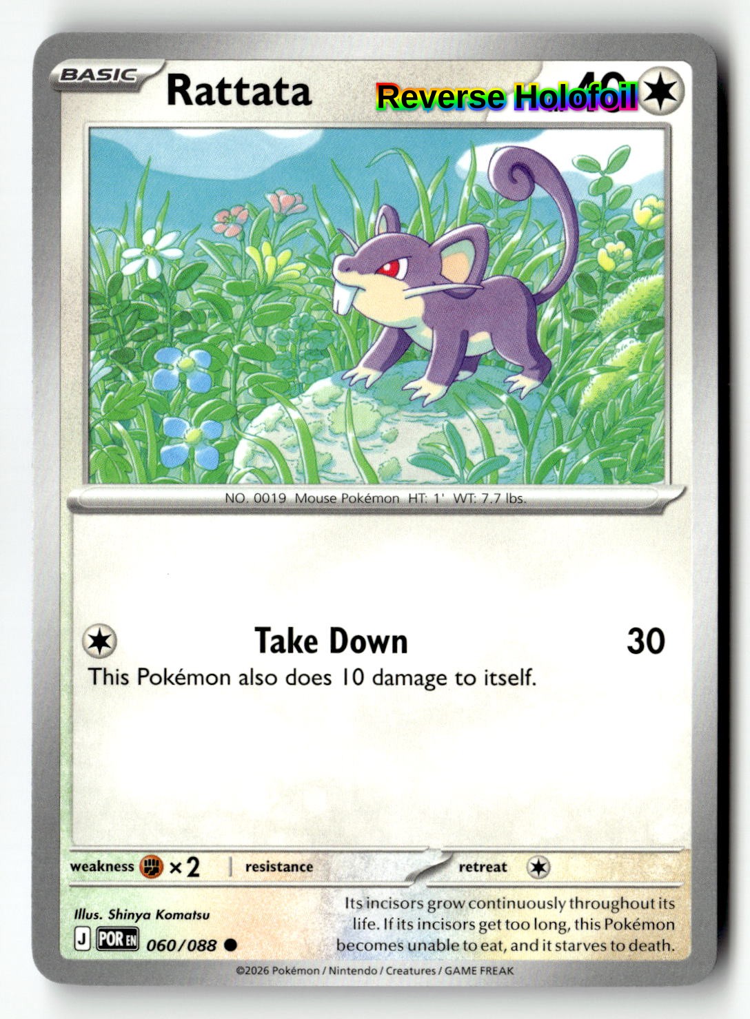 Rattata