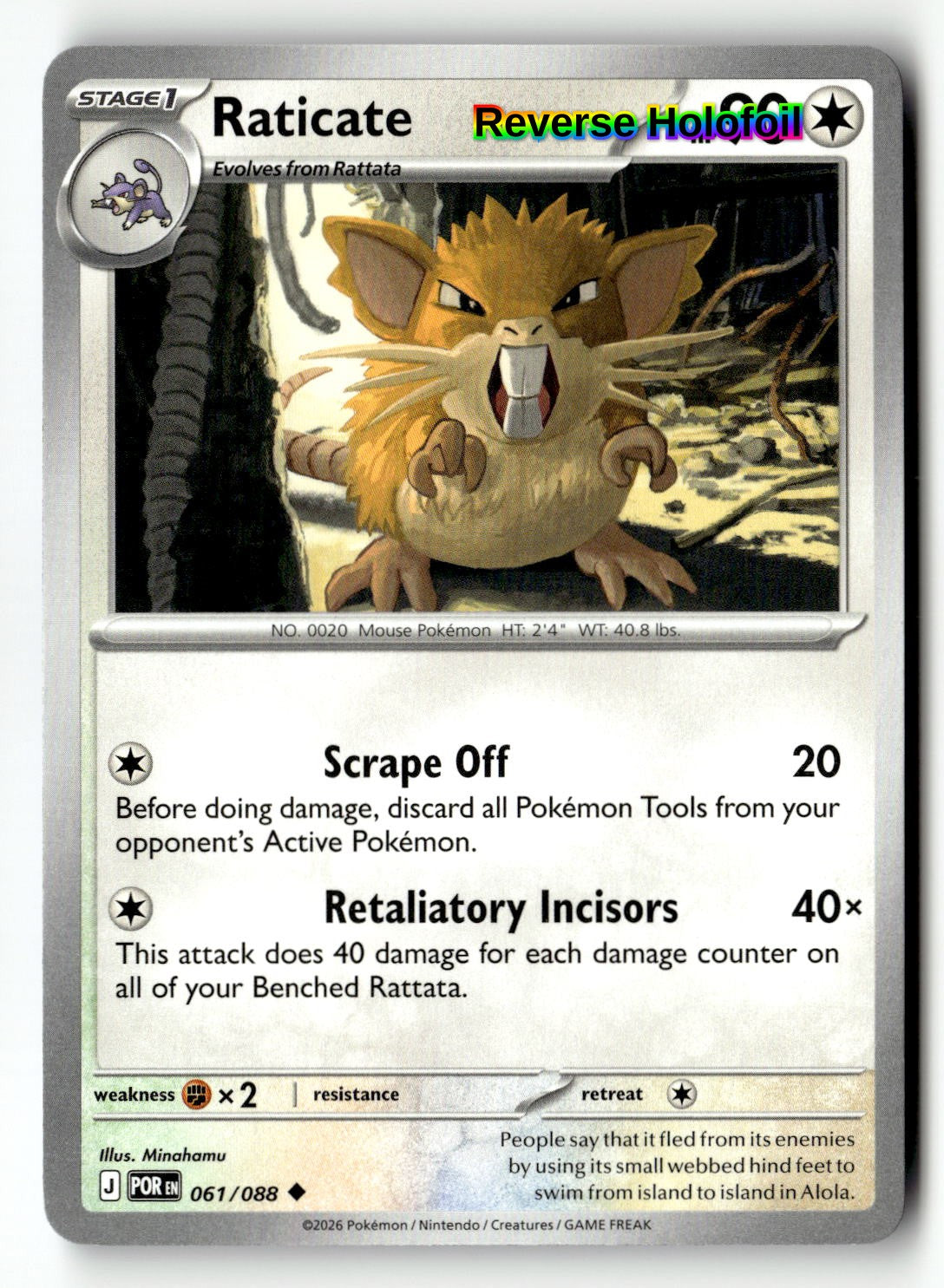 Raticate - 061/088